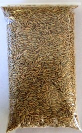 catgrass_rye_grain.jpg